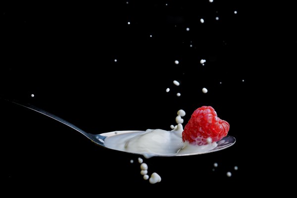 Raspberry splashing milk on a metal spoon splash effect with black background