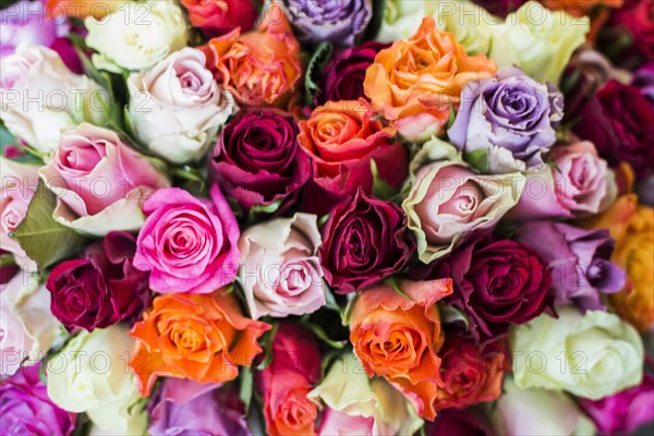 Bouquet with colourful roses