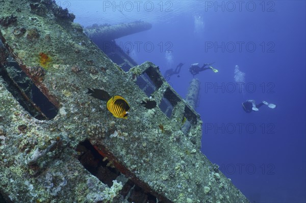 Divers on the ascent. Dive site Giannis D wreck