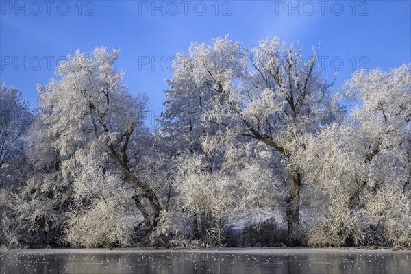 River landscape with hoarfrost and ice