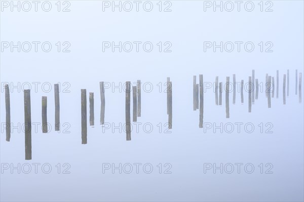 Anchor piles in the fog on autumnal Lake Duemmer