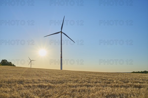 Wind turbines in grainfield at morning