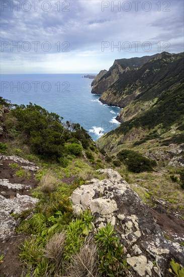 View of steep cliffs and mountains overgrown with forest