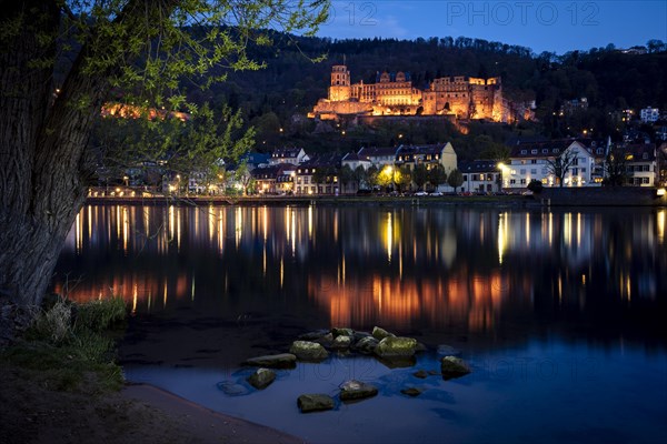 View of Heidelberg and the castle and the river Neckar in the evening at blue hour