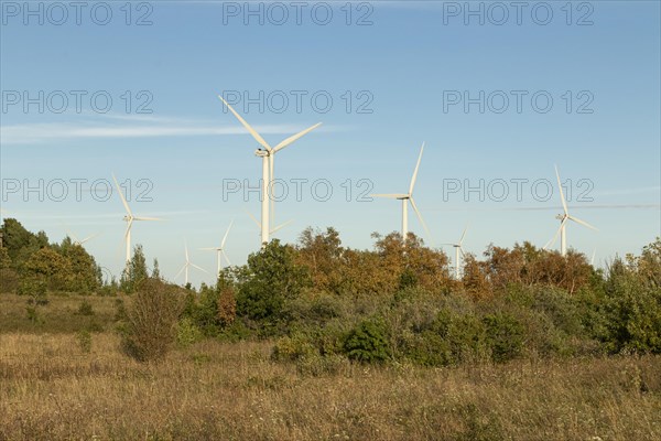 Wind turbines in the evening light against a blue sky on the Pakri peninsula near Paldiski