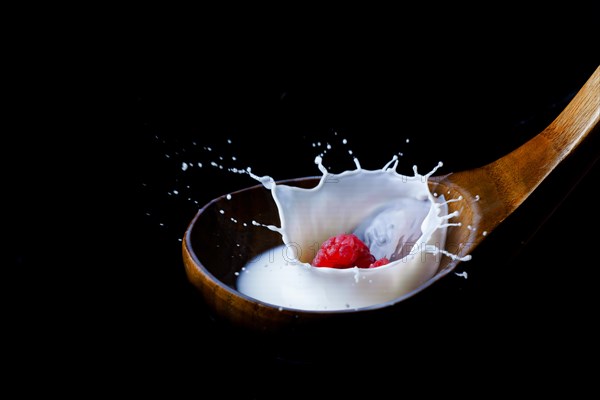 Fresh raspberry splashing milk on a wooden spoon