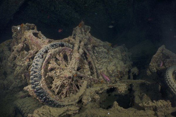 World War II motorbike in the hold of the Thistlegorm. Dive site Thistlegorm wreck