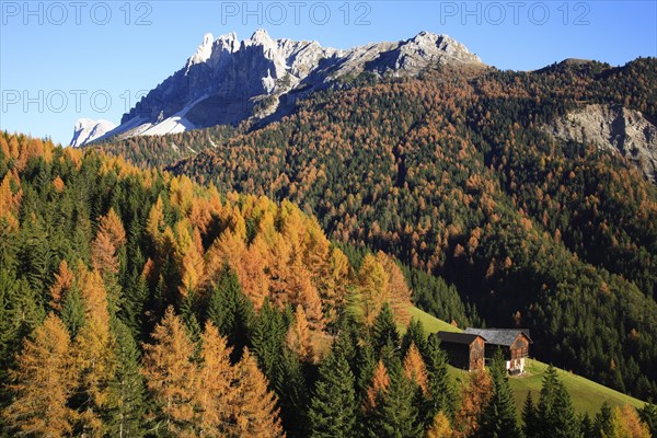 Autumn landscape at the Wuerzjoch