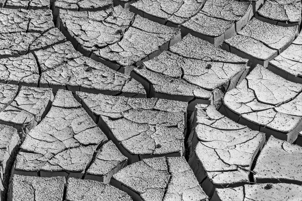 Earth cracked in times of drought and extreme heat. France