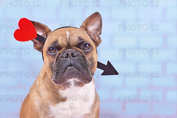 French Bulldog dog with Valentine's day love arrow headband on blue background
