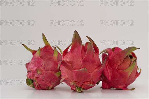 Pink pitahaya or dragon fruit isolated on white background with copy-space