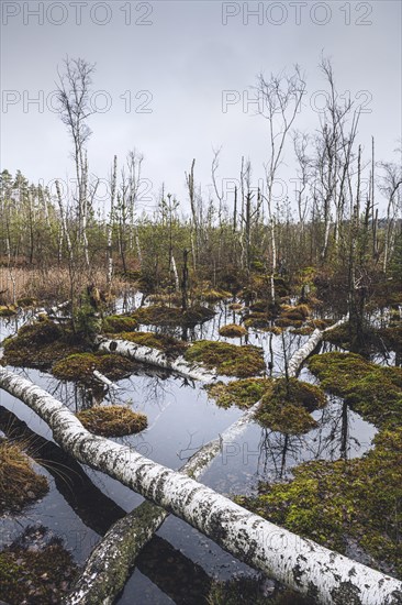 Nature reserve