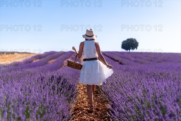 A woman in a white dress in a summer lavender field with a hat