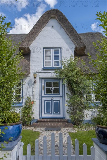 Thatched Frisian house