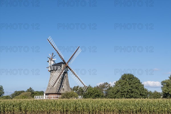 Windmill in Oldsum