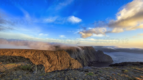 Rocky shale coast