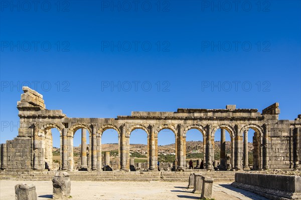 Well-preserved roman ruins in Volubilis