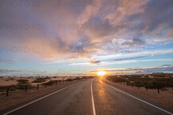 Empty asphalt road through the desert or dunes. Sunrise over the road