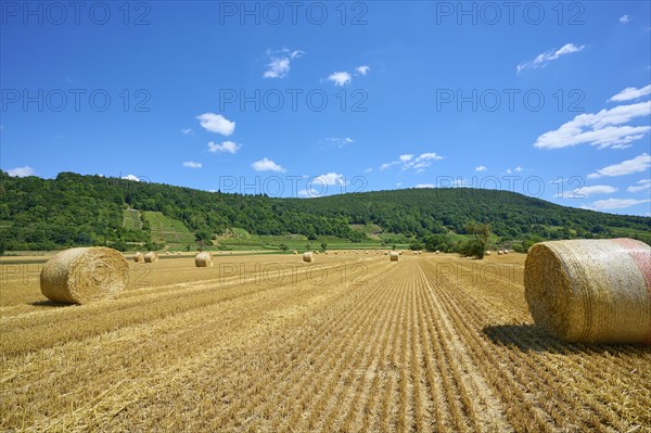 Landscape with hay field and straw bales
