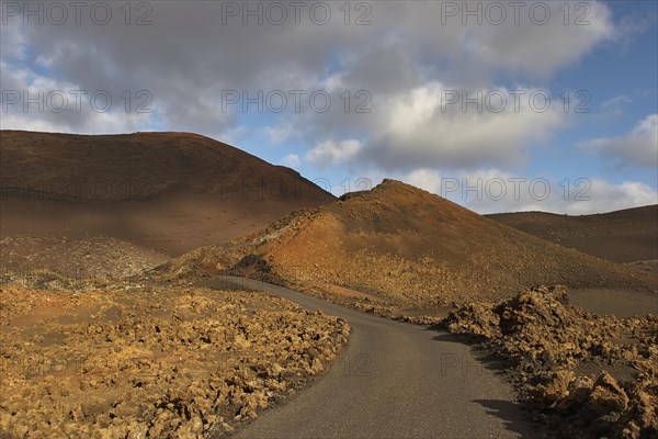 Asphalted road in national park