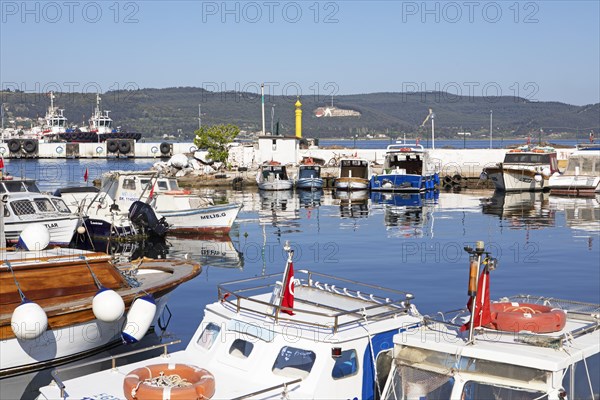 Boats in the harbour