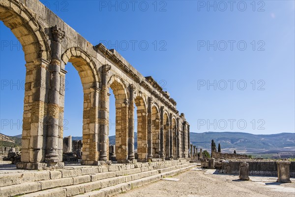 Well-preserved roman ruins in Volubilis