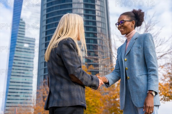 Middle-aged multi-ethnic businesswomen and executives