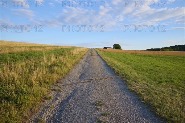 Field path