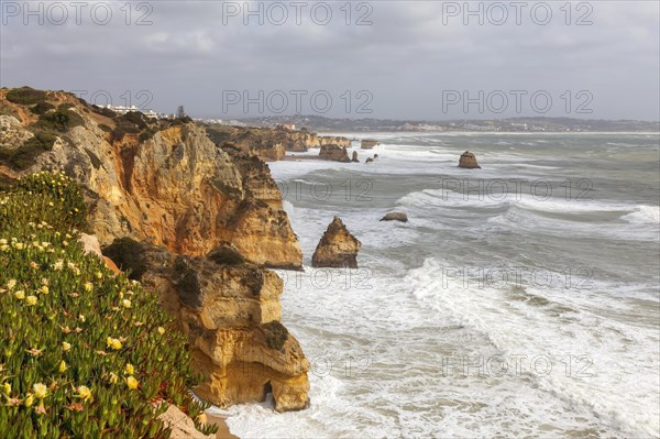 Ponta da Piedade