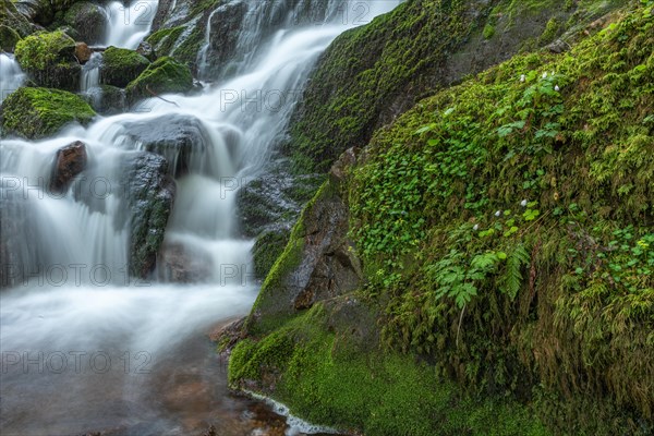 Fresh and beautiful waterfalls in a mountain stream in spring. La Serva