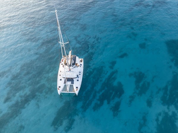 Sailing catamaran from above