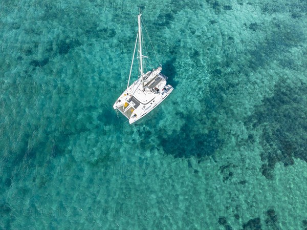 Sailing catamaran from above