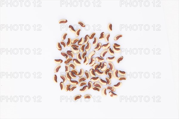 Pile of dry long bean seeds on white background