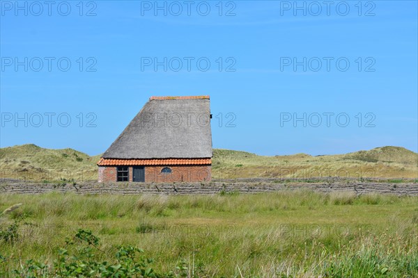 Sheep shelter bungalow building in national park De Muy in the Netherlands on island Texel