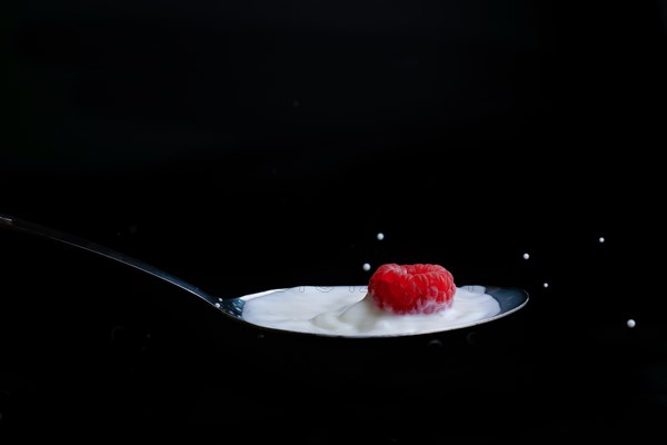 Raspberry splashing milk on a metal spoon splash effect with black background