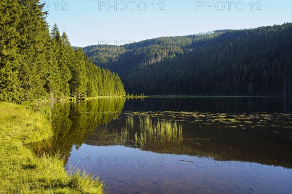 Kleiner Arbersee