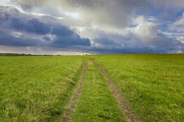 Landscape of a green path with clouds and blue sky in the background. Green country road with clouds in the background. Idyllic view of rural road between green fields with blue sky and clouds