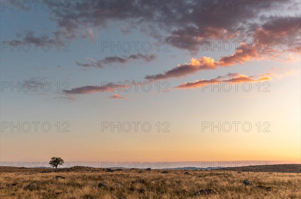 Landscape of Cantal at sunset. France