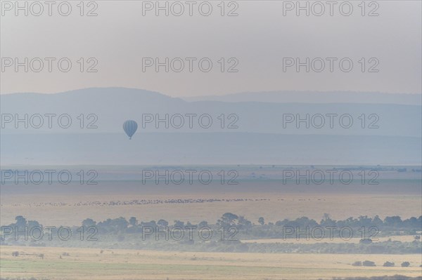 Savannah landscape with hot air balloon in the morning in fog