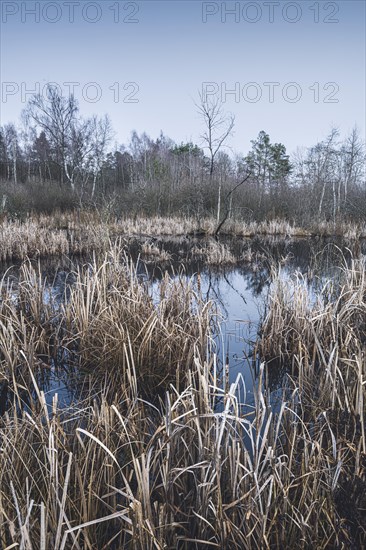 Nature reserve