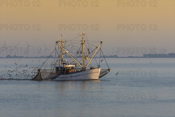 Fishing boat fishing with trawl net in the North Sea