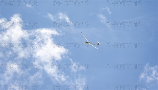 Gliders in the sky