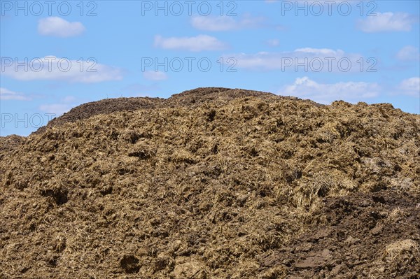 Muck heap