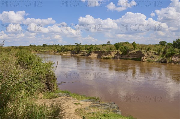 Savannah landscape with river