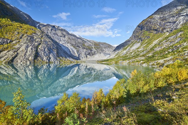 Nigardsbreen