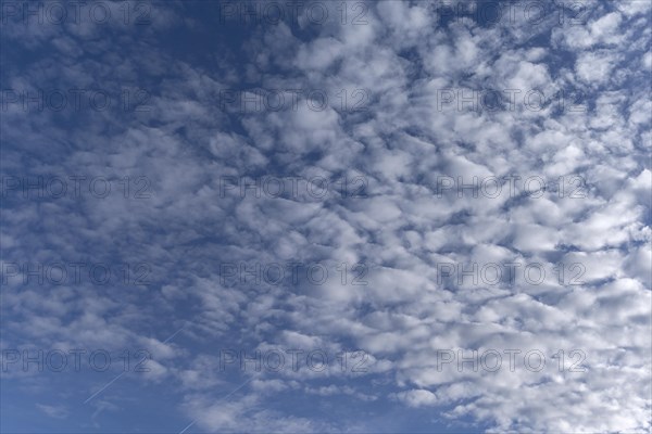 Altocumulus cloud
