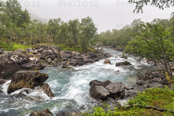 Wild river Rauma