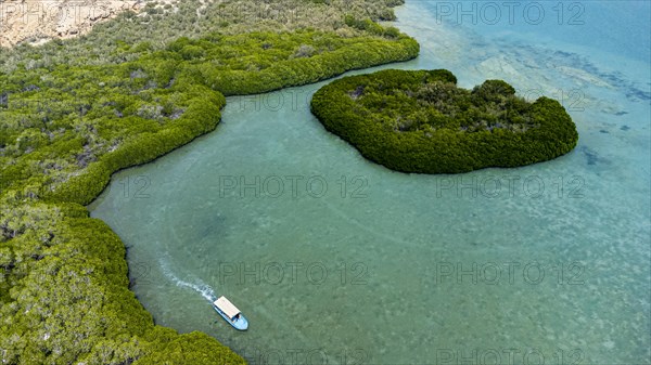 Aerial of the Mangrove forest