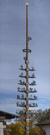 Maypole