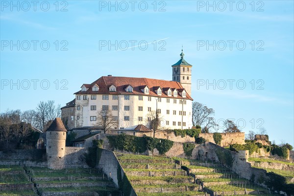 Kaltenstein Castle at sunrise